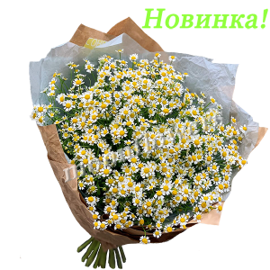 Полевое чудо